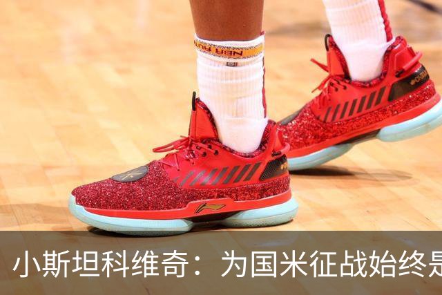 小斯坦科维奇：为国米征战始终是我的梦想 我的父亲比我还激动